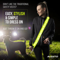 Thumbnail for LED Reflective Sash