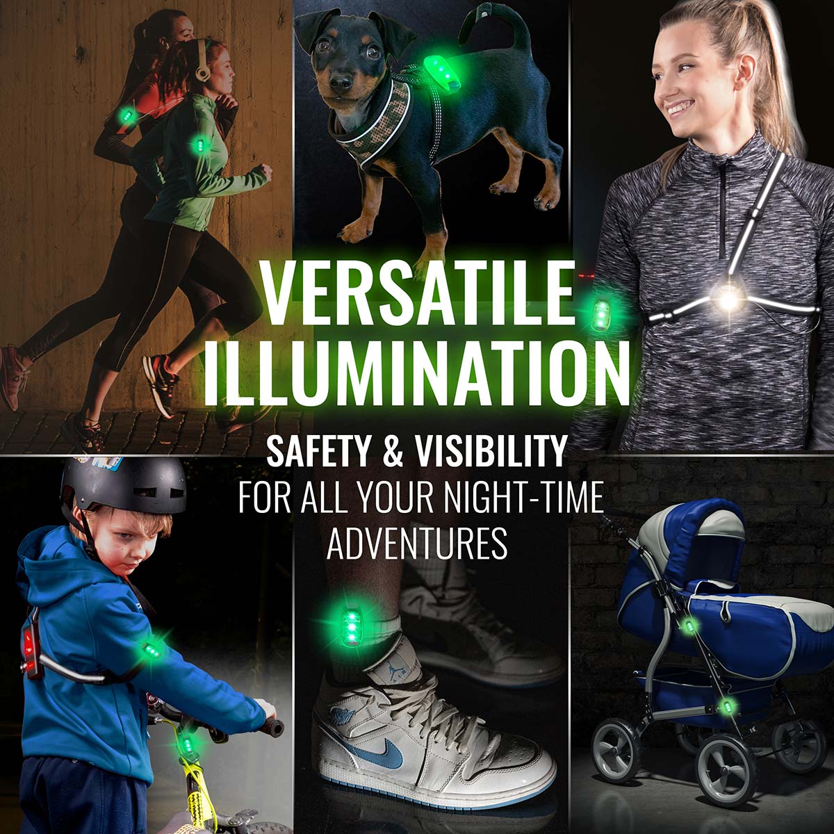 Dog Walking Light Set