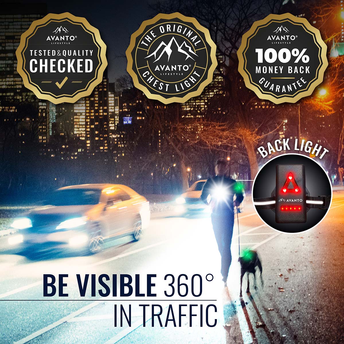 Dog Walking Light Set