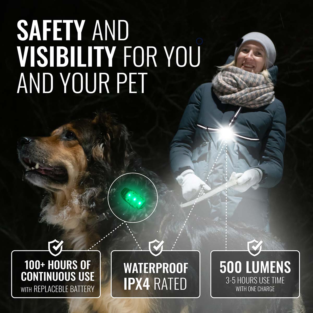 Dog Walking Light Set