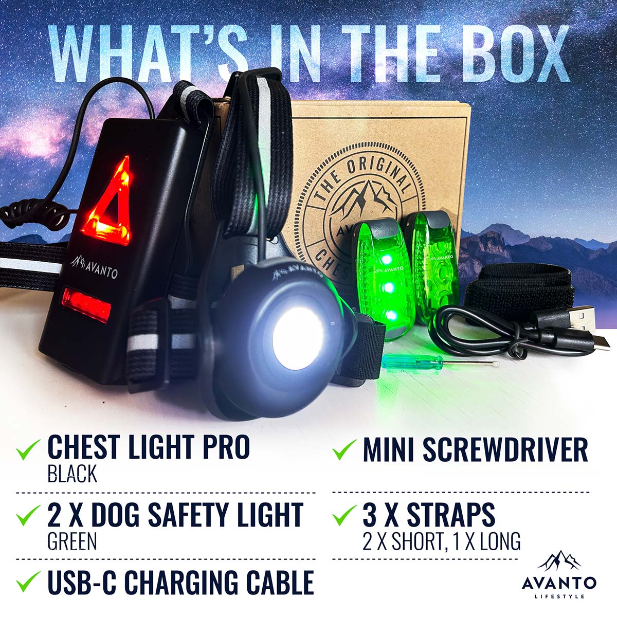 Dog Walking Light Set